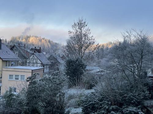 Bergstadthütte Harz