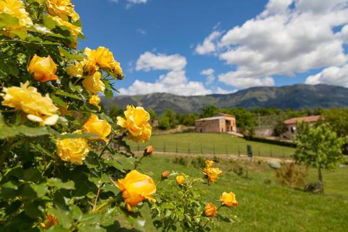 Tenuta Del Daino - image 8