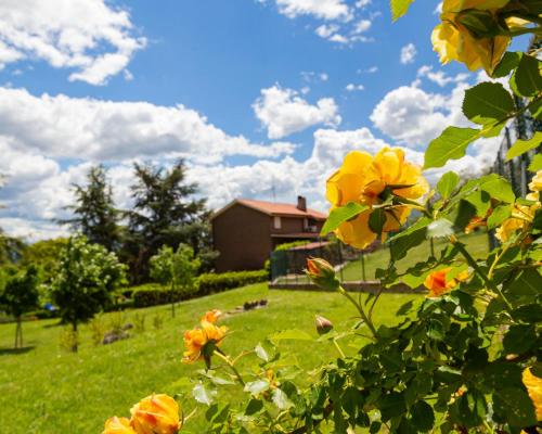 Tenuta Del Daino - image 7