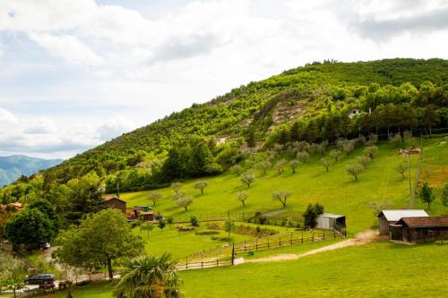 Tenuta Del Daino - image 13