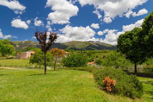 Tenuta Del Daino - image 2