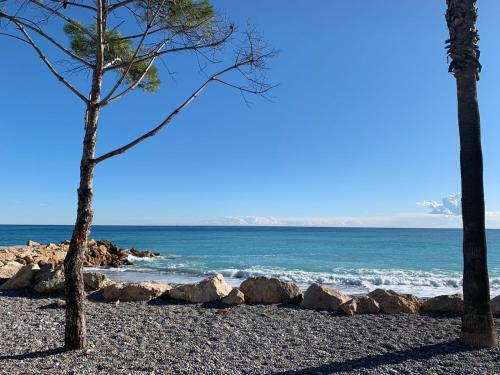Pearl Beach