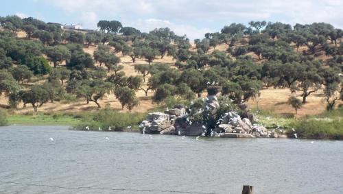 MONTE DO SALTO DA RAPOSA