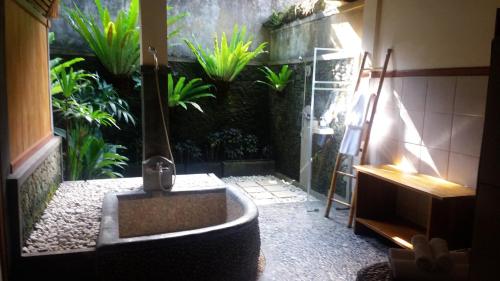 Nefatari Exclusive Villas