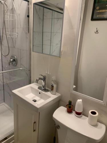 Hollywood Rentals LLC - image 8