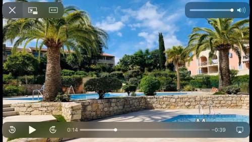 2P Terrasse vue piscine et jardin tropical La Croix Valmer - Location saisonnière - La Croix-Valmer