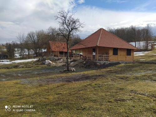 Planinska etno kuca Tara