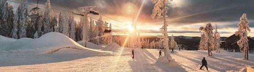 Rämsbyns fritidsby, nära Romme Alpin - Ulriksberg