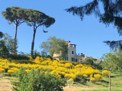 Podere La Cava – Chianciano Terme, WI