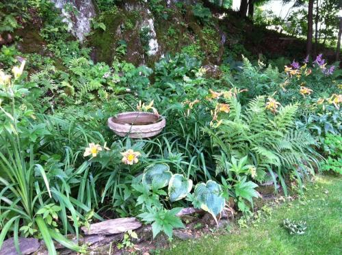 Hobble Inn B&B