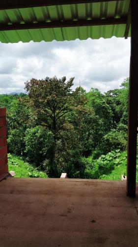 Cabañas Manakins