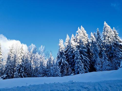 Apartman Leonardo - Apartment - Jahorina