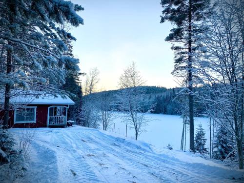 One-Bedroom Chalet (no electricity)