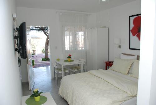 Villa 1000, Arad (fotografie 5)