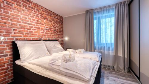 Apartamenty ROYAL APARTS Widok 800 - z panoramą gór, Szklarska Poręba (foto 5)