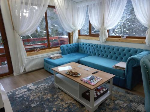 Kalinderu luxury ski loft - Apartment - Busteni