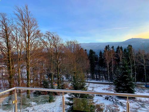 Apartamenty ROYAL APARTS Widok 800 - z panoramą gór, Szklarska Poręba (foto 7)