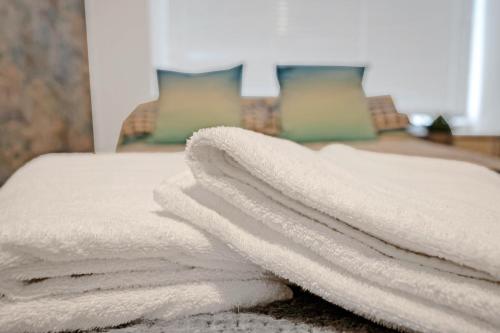 Central And Modern Apartment With A Garden, Edinburgh, Edinburgh and the Lothians