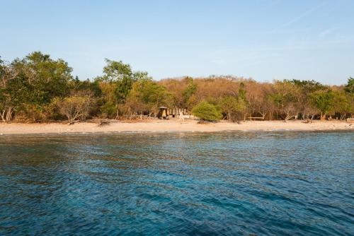 Foto - NusaBay Menjangan