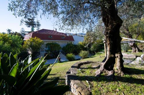 The Holiday Apartments gîte à louer San Lorenzo