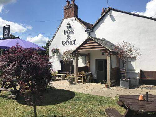 Fox and Goat in Waterstock