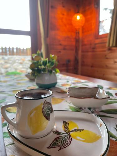 Andızaltı Doga Evleri Limon Ev Datca
