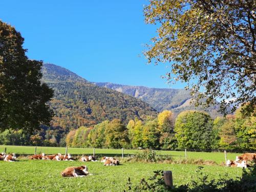 Ferienwohnung Alpenflair