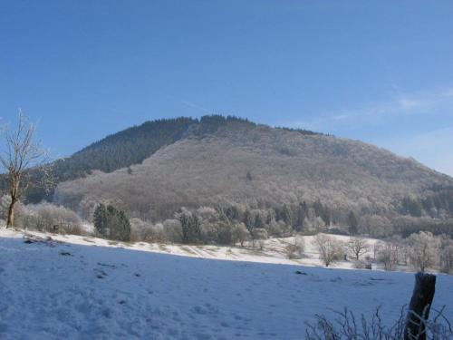 Landhotel Grimmeblick - image 14