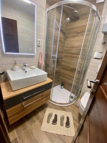 Fürdőszoba, Kuća za odmor GUSKA (Kuca za odmor GUSKA) in Kopacevo