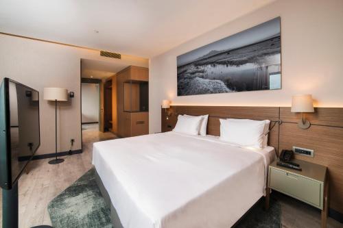 Junior Suite - Mountain View - Balcony image 6