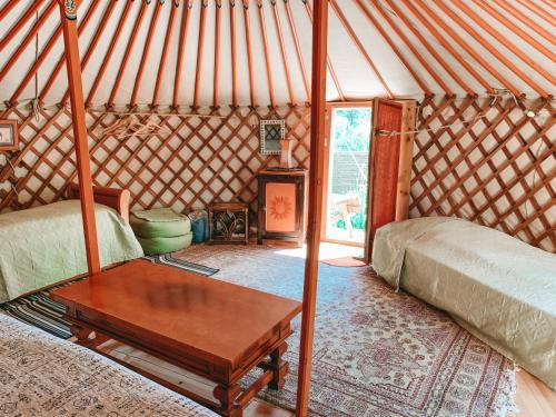 Yurt Tent (5 People)