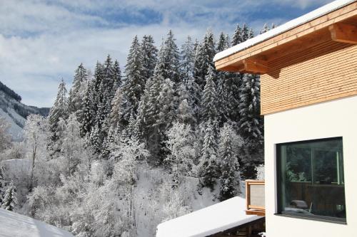 Appartements Moser