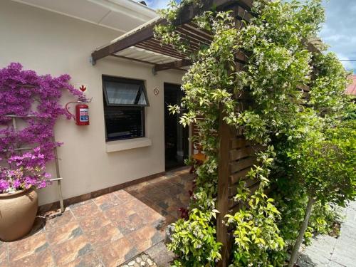 Mountain Trails Accommodation