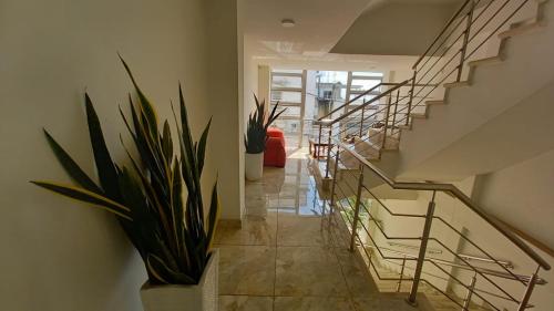 Perla De La Sabana in Corozal