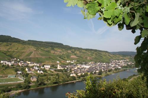 Weingut-Brennerei-Gästehaus Emil Dauns