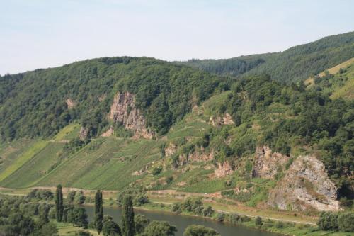 Weingut-Brennerei-Gästehaus Emil Dauns