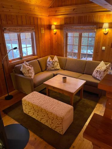 Ski and Bike-In and Out in Oyer