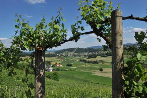 Vineyard Cottage Zdolsek