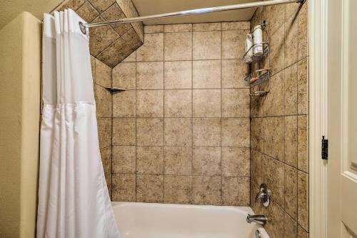 Fayetteville Apt by Univ of Arkansas Campus!