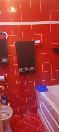 Apartament Arad Central