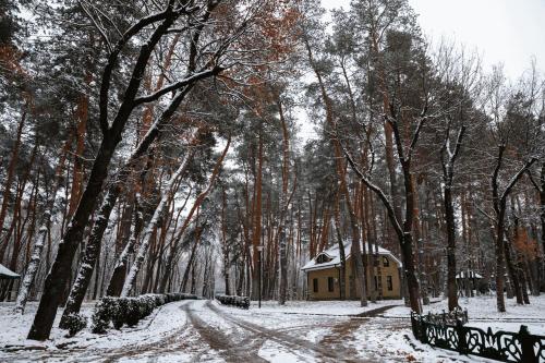 Kohavi Forest Club