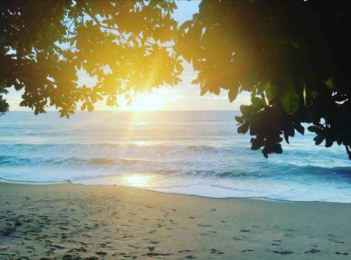 Hotel lippo carita pantai putih