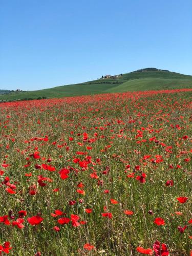 Agriturismo Poggio Tobruk