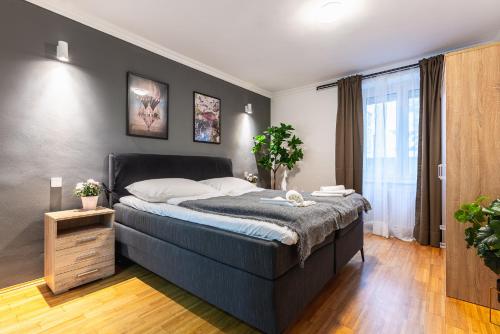 Live Centrally in a Spacious and Modern Apartment in Vienna
