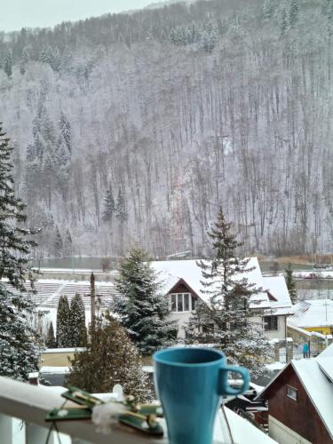 Apartament Erika Sinaia