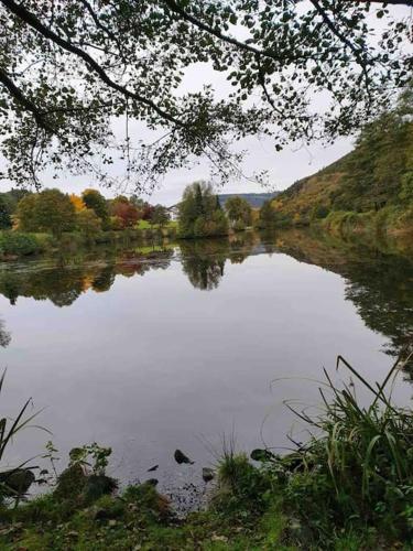 Sauerland Lodge ski & mountainbike park in nature