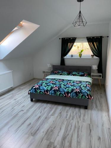 Apartamenty - Pod Wierzbami in 德維哥濟