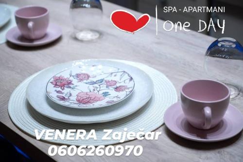 Spa Apartman URBAN Life ZAJEČAR - image 4