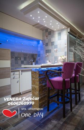 Spa Apartman URBAN Life ZAJEČAR - image 3