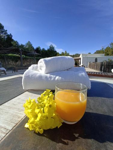  Villa Can Mestreso Suite Ibiza in Sant Joan de Labritja
